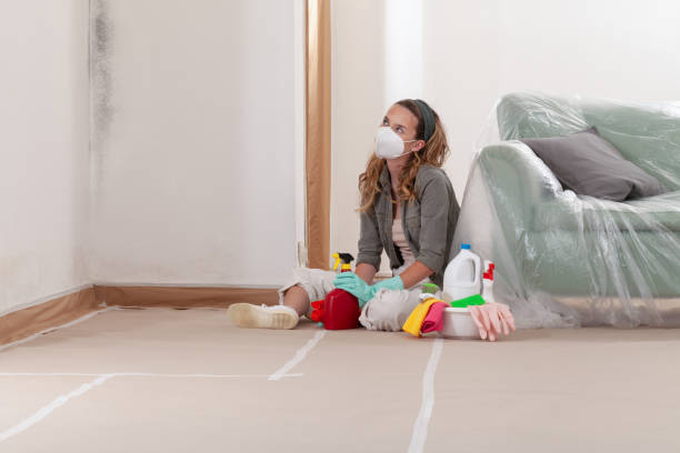 Reliable Mold Remediation contractor in Lindenhurst, IL by WQB Mold Removal